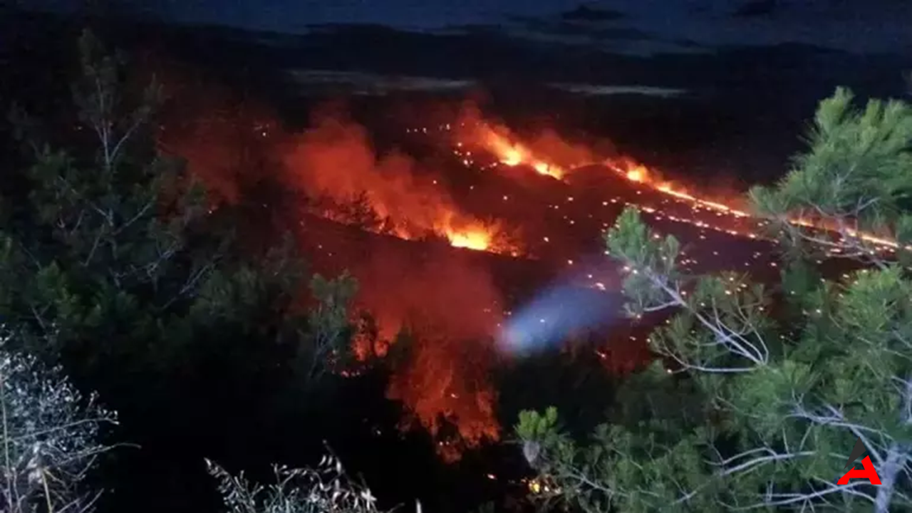 Adana Çukurova'da Orman Yangını