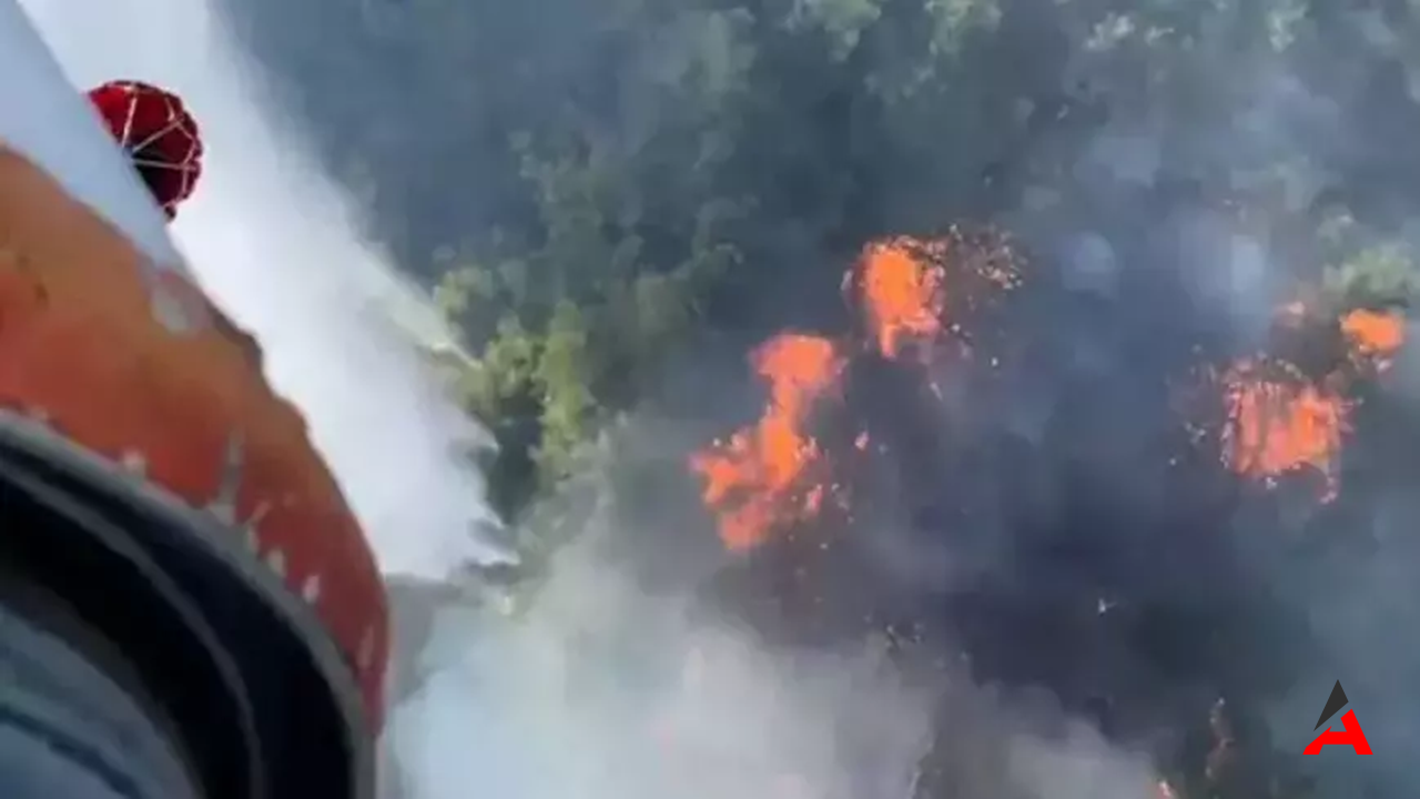 Bigadiç'te Anız Yangını Ormana Sıçradıyoğun Müdahale Sürüyor