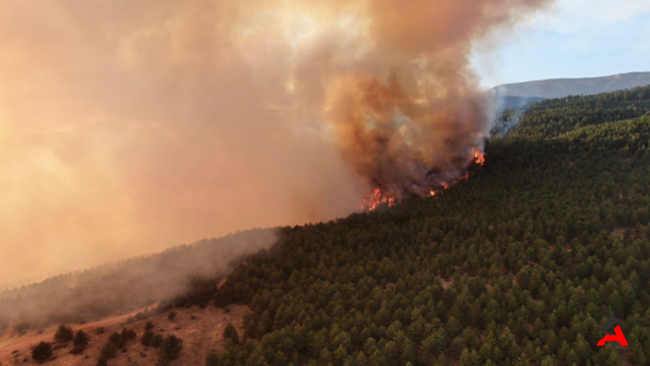 Ilgaz'da Alevlerin Kıskacında