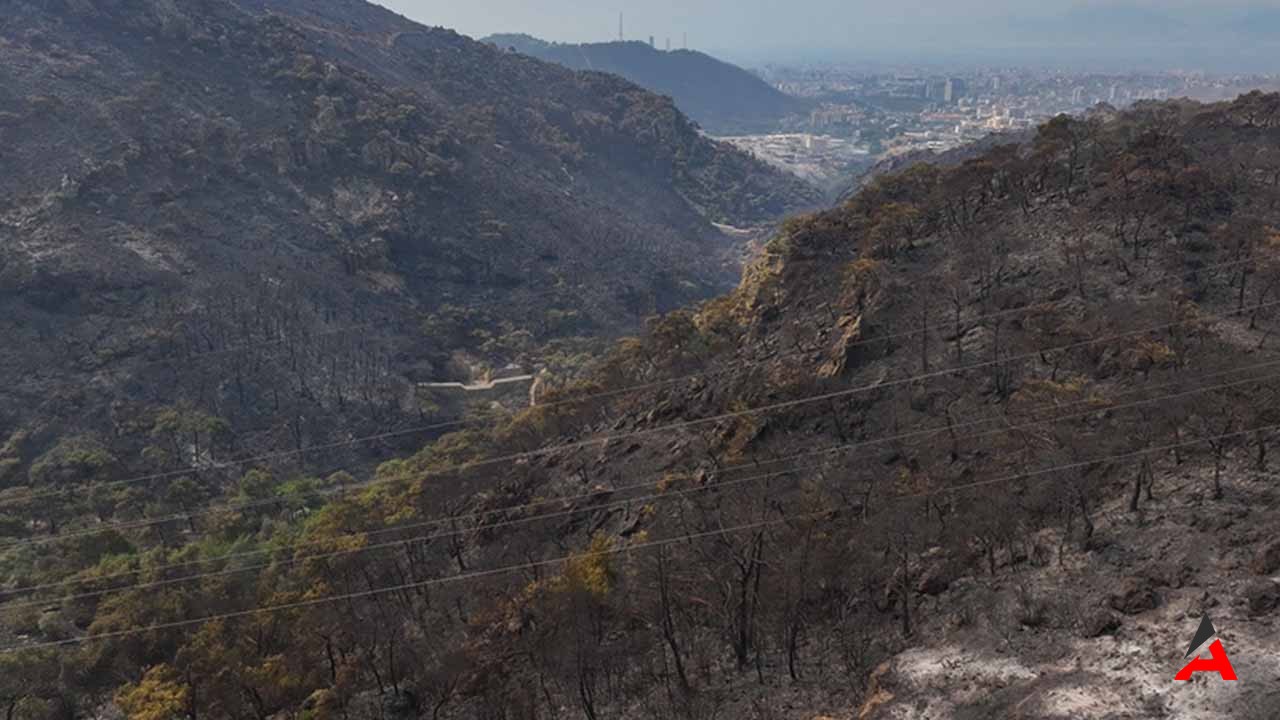 İzmir Karşıyaka'da Çıkan Orman Yangını 4