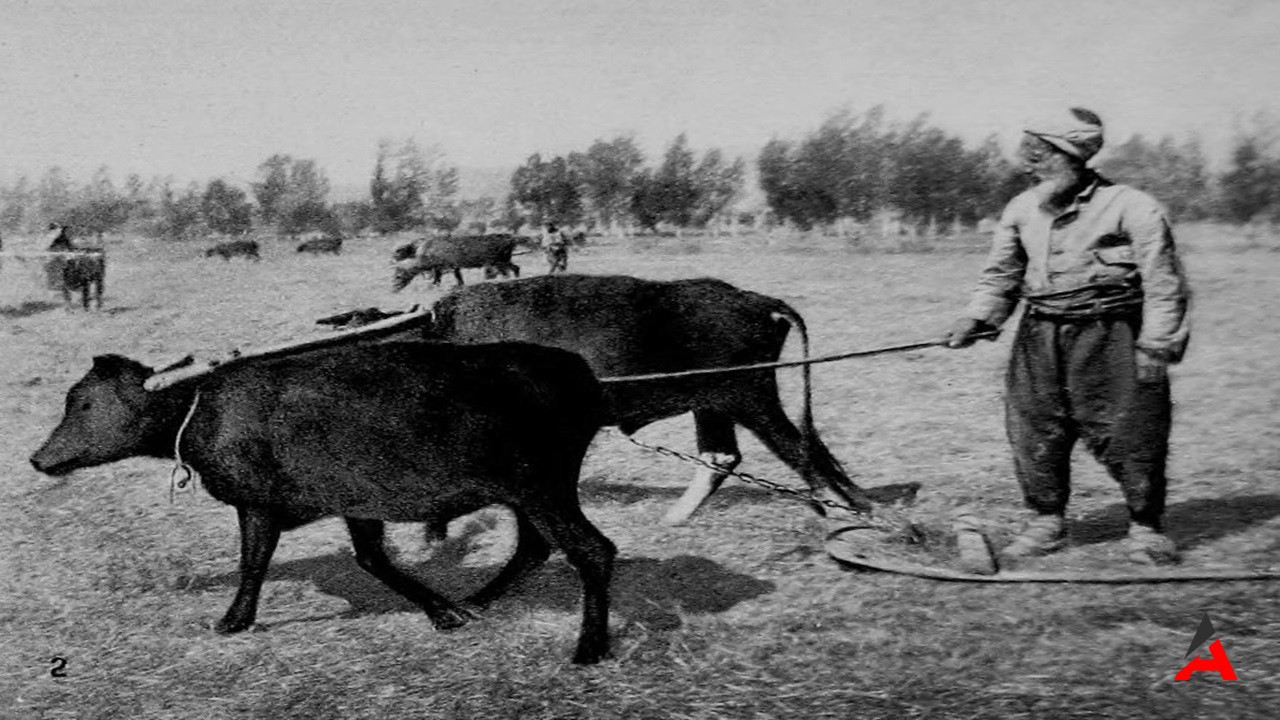 Osmanlı'nın Tartışmalı Vergisi