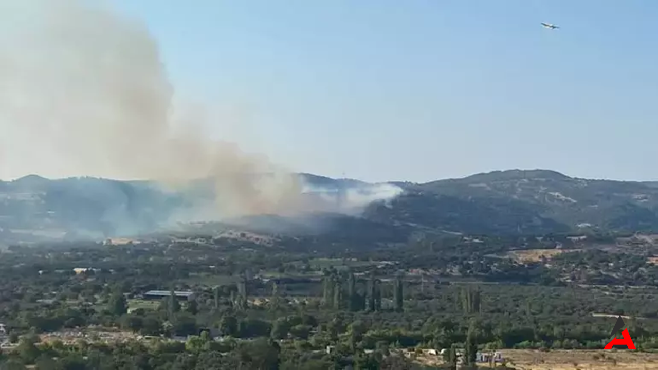 Çanakkale Ayvacık'ta Orman Yangını