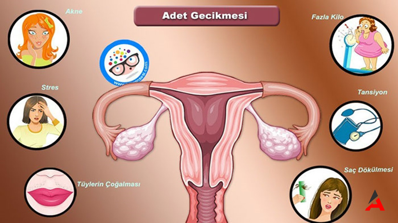 Adet Düzensizlikleri Kadın Hastalıklarının Belirtileri Ve Nedenleri1