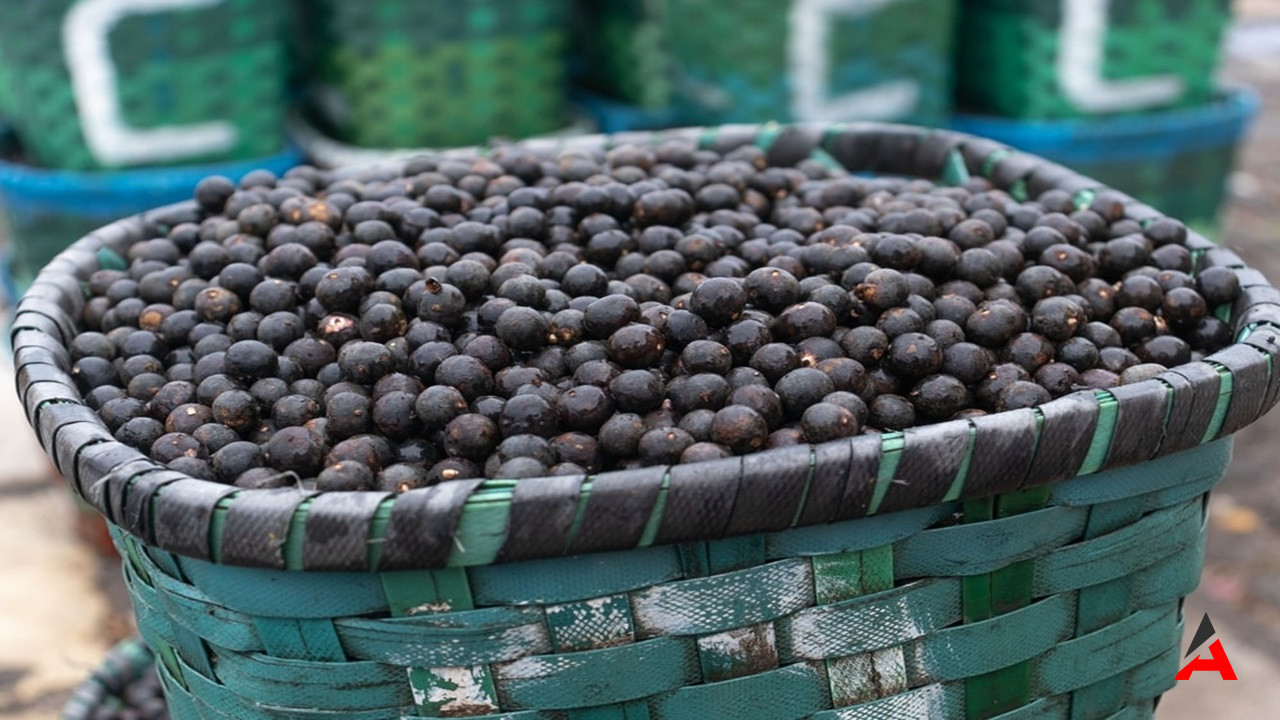 Acai Üzümü Mucizesi: Bağışıklığınızı Güçlendirin, Enerjinizi Artırın!