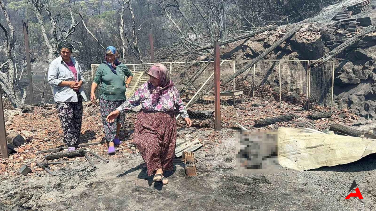 Aydın Bozdoğan’da Yangın Felaketi: Hışımlar Mahallesi’nde Hayvanlar Alevlere Yenik Düştü