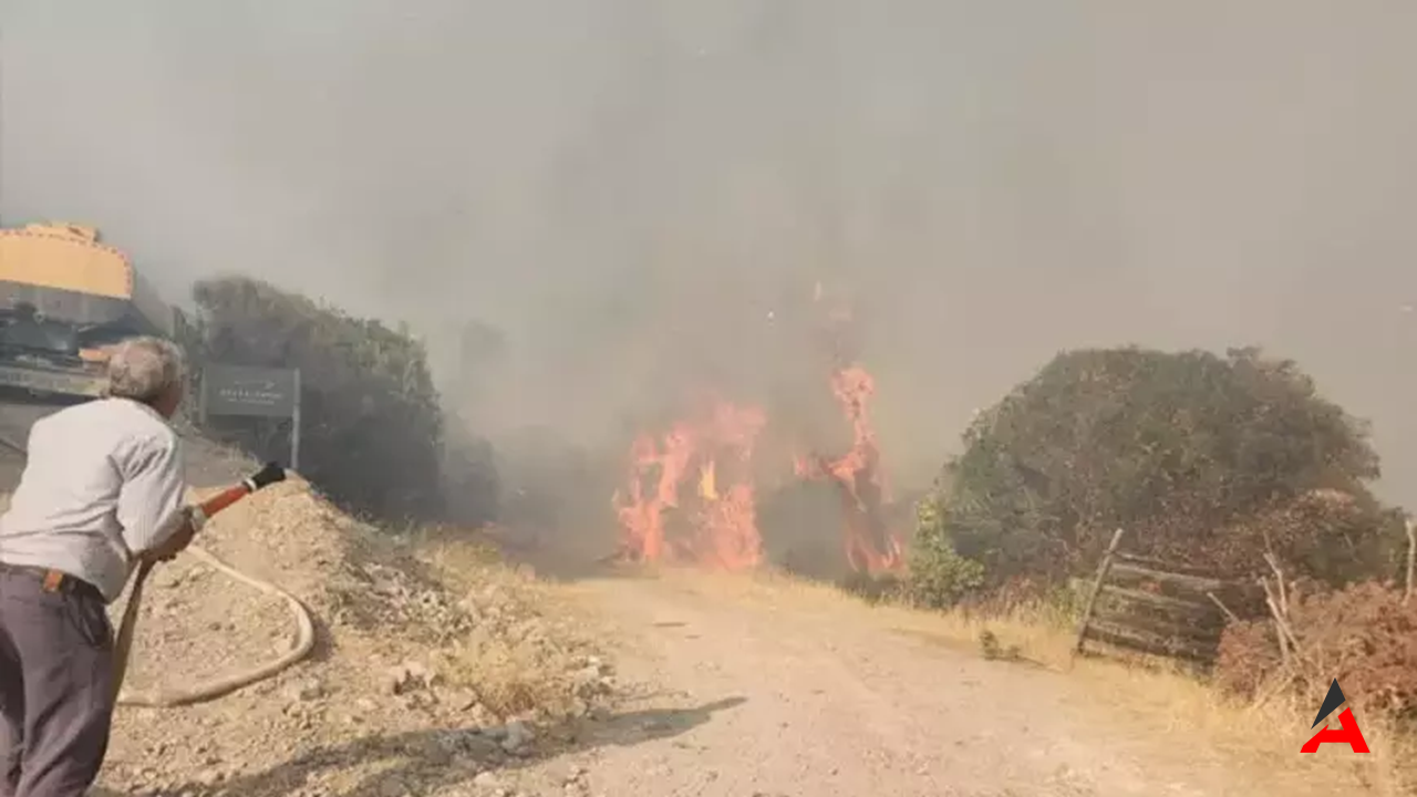 Çanakkale Ayvacık’ta Orman Yangını: Ekipler Havadan ve Karadan Müdahale Ediyor