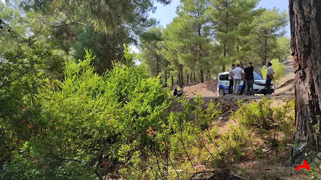 Fethiye Ormanında Şok: 1 Günlük Bebek Kundakta Bulundu!