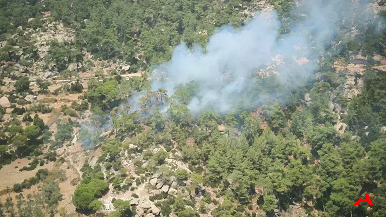 Muğla Yatağan’da Orman Yangını: Alevler Kızılçamları Sardı, Ekipler Seferber Oldu!