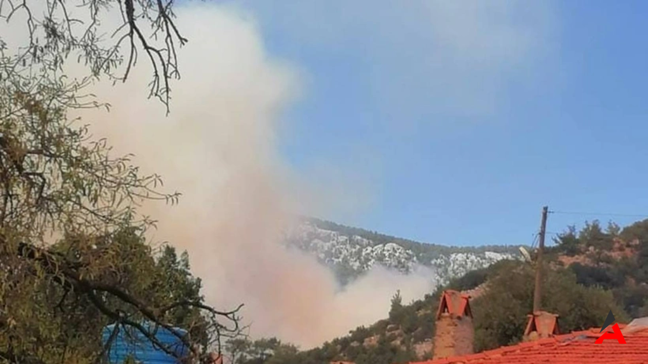 Muğla’nın Menteşe İlçesinde Orman Yangını: Havadan ve Karadan Müdahale Başladı