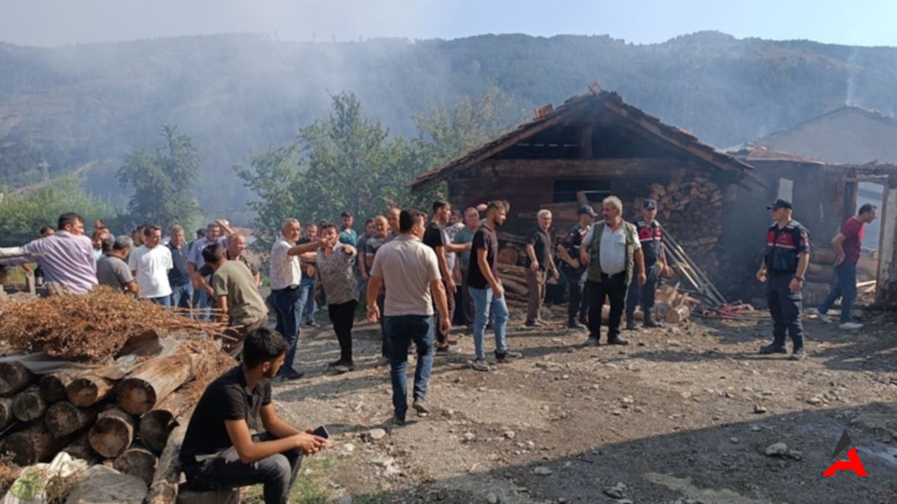 Tosya’da Yangın Faciası: 16 Yaşındaki Alperen Hayatını Kaybetti, 3 Ev Kül Oldu!